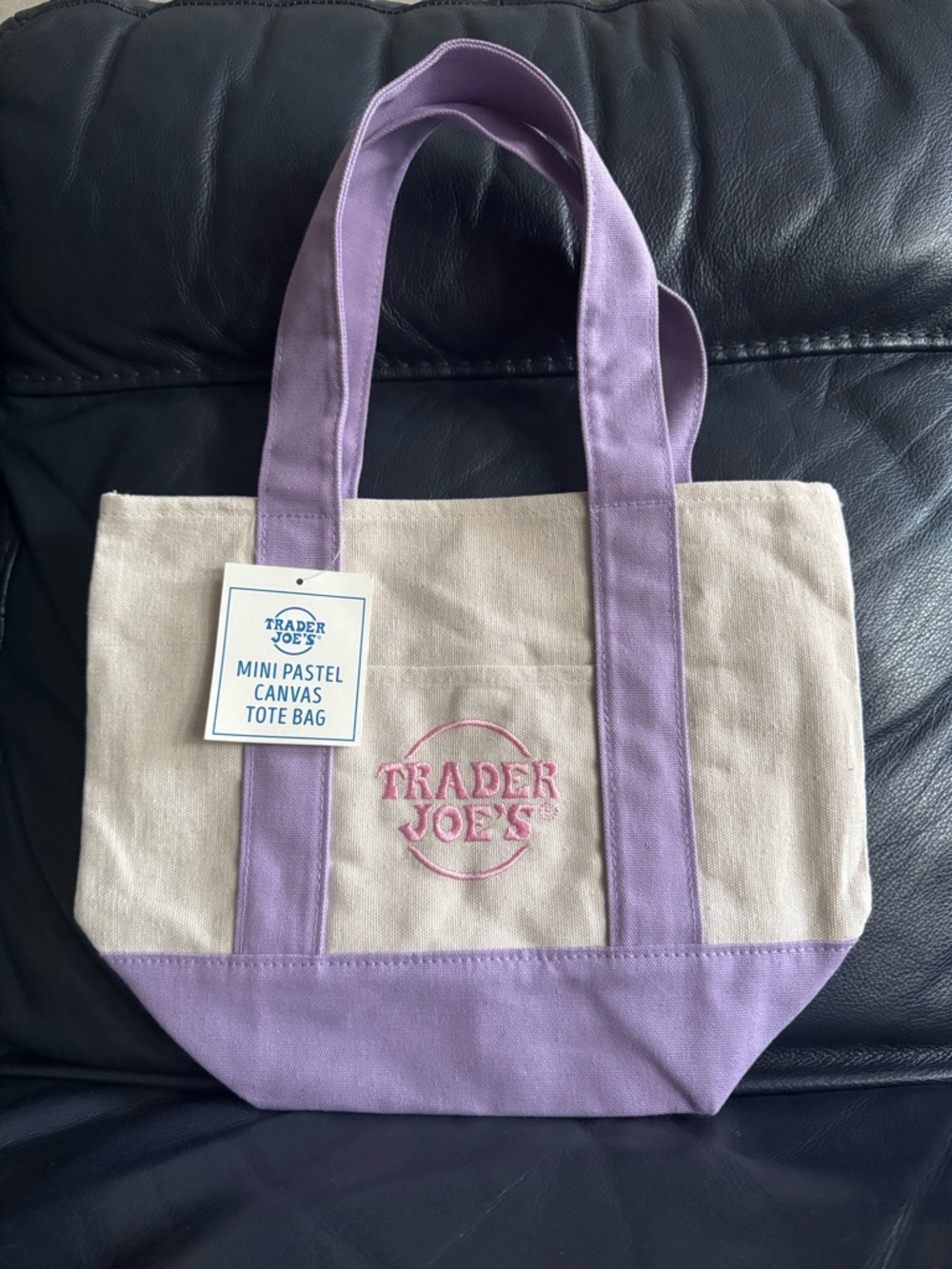 Trader Joe’s Mini Pastel Canvas Tote Lavendar NWT